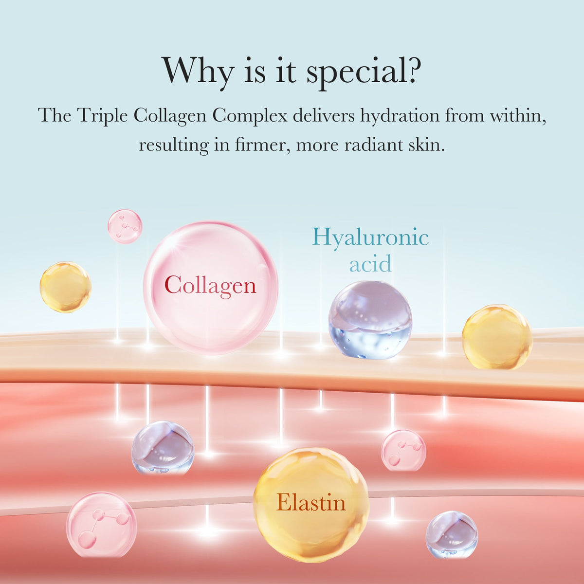 triple-collagen-cream-x4 04_8e4e330d-7d9c-4ff0-93ec-ea541093220c.jpg
